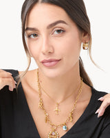 Charm avion