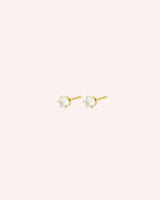 Mini Boucles Clous Zircone